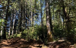 3 HILLTOP Dr, Lakeside, OR 97449