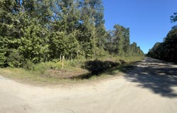 Dupre Road, McClellanville, SC 29458