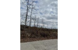 1365 County Road 3500, Mountain View, MO 65548