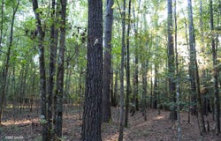 T.B.D., kelly, LA 71441