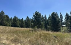 Parcel A Highway 95, Plummer, ID 83851