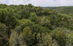 Buck Ridge Lane, Williford, AR 72482