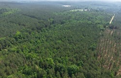 Tollett Road, New Hope, AR 71959