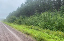 On Old 14 Road, Bruce, WI 54819