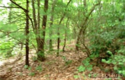 360 Kenmure Drive, Hendersonville, NC 28731