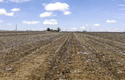 1283 County Road 12, Tulia, TX 79088