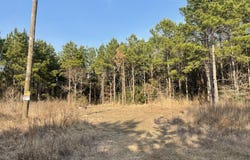 Tract 21 Kickapoo Road, Groveton, TX 75845