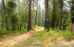 40 Ranch Circle, Cascade, ID 83611