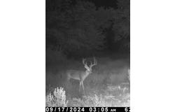 East Loop 254, Ranger, TX 76470