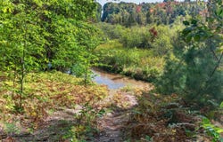 8500 N 80th Avenue, Pentwater, MI 49449