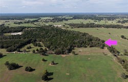 CR 161, Fairfield, TX 75840
