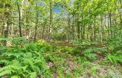 101 Gilsum Road, Sullivan, NH 03445
