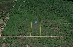 18000 185TH Road, LIVE OAK, FL 32060