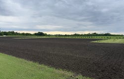 County Road 15, Minto, ND 58261