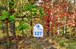 West Point Drive, Nebo, NC 28761