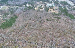 00 Cash Lane, Moncks Corner, SC 29461