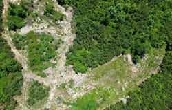 County Road 42, Hamilton, AL 35570