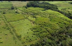 1-3 PRIVATE RD, Hakalau, HI 96710