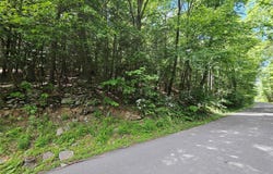 Trails End Road, Kerhonkson, NY 12446