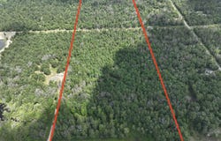 5910 S Shallow Drive, Idlewild, MI 49642