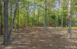 Pathway Lane, Chester, SC 29706