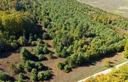 Shively Road, Fife Lake, MI 49633