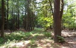 Randall Dr, Potsdam, NY 13676