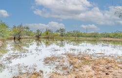 191+-Ac FM 2945, Cisco, TX 76437