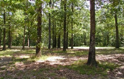 U.S. Highway 160 W, West Plains, MO 65775