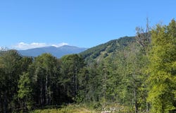 32 Mountain View Road, Jackson, NH 03846