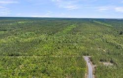 Deas Hill Road, McClellanville, SC 29458