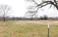 14593 It'll Do Road, Pea Ridge, AR 72751