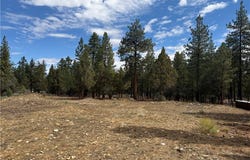 Alderwood, Big Bear City, CA 92314