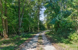 Narrow Bridge Road, Chester, SC 29706