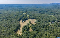 3595 E RED HILL RD, CHARLOTTESVILLE, VA 22903