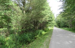 Duby Road, Tawas City, MI 48763