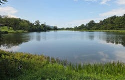 35 LAKE FRONT Road, FRONT ROYAL, VA 22630