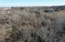 Highway 63, Pomona, MO 65789