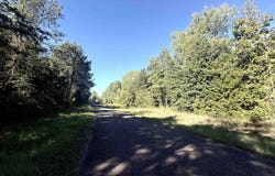 TBD Tr 6G CR 4606, Troup, TX 75789