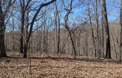 Bill Billings Road, Garfield, AR 72732