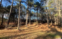 Timber Ridge Drive, Laurel, MS 39443