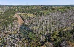 10770 Highway 45, Chunchula, AL 36521