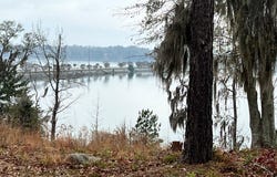 23 Point Drive, Georgetown, GA 39854