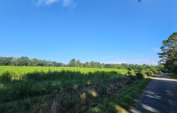 23 Bridge Road, Arab, AL 35016