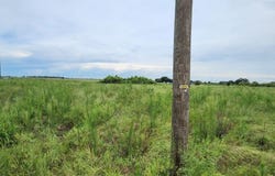 WEITA Road, BARTOW, FL 33830