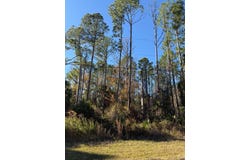 County Road 347, Cedar Key, FL 32625