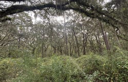 4 Carnochan Lane SE lot: 4, Darien, GA 31305