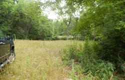 43 CODY LN, MOUNT SOLON, VA 22843
