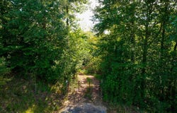 Mccoy Bridge Road, Homer, GA 30547