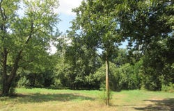 Monroe, Campbell, MO 63933